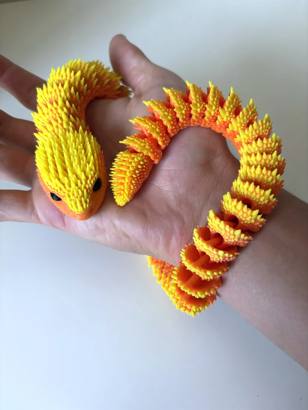 תמונה נוספת