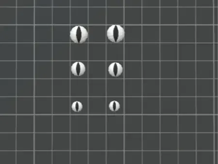 תמונה נוספת