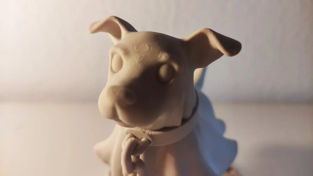 תמונה נוספת