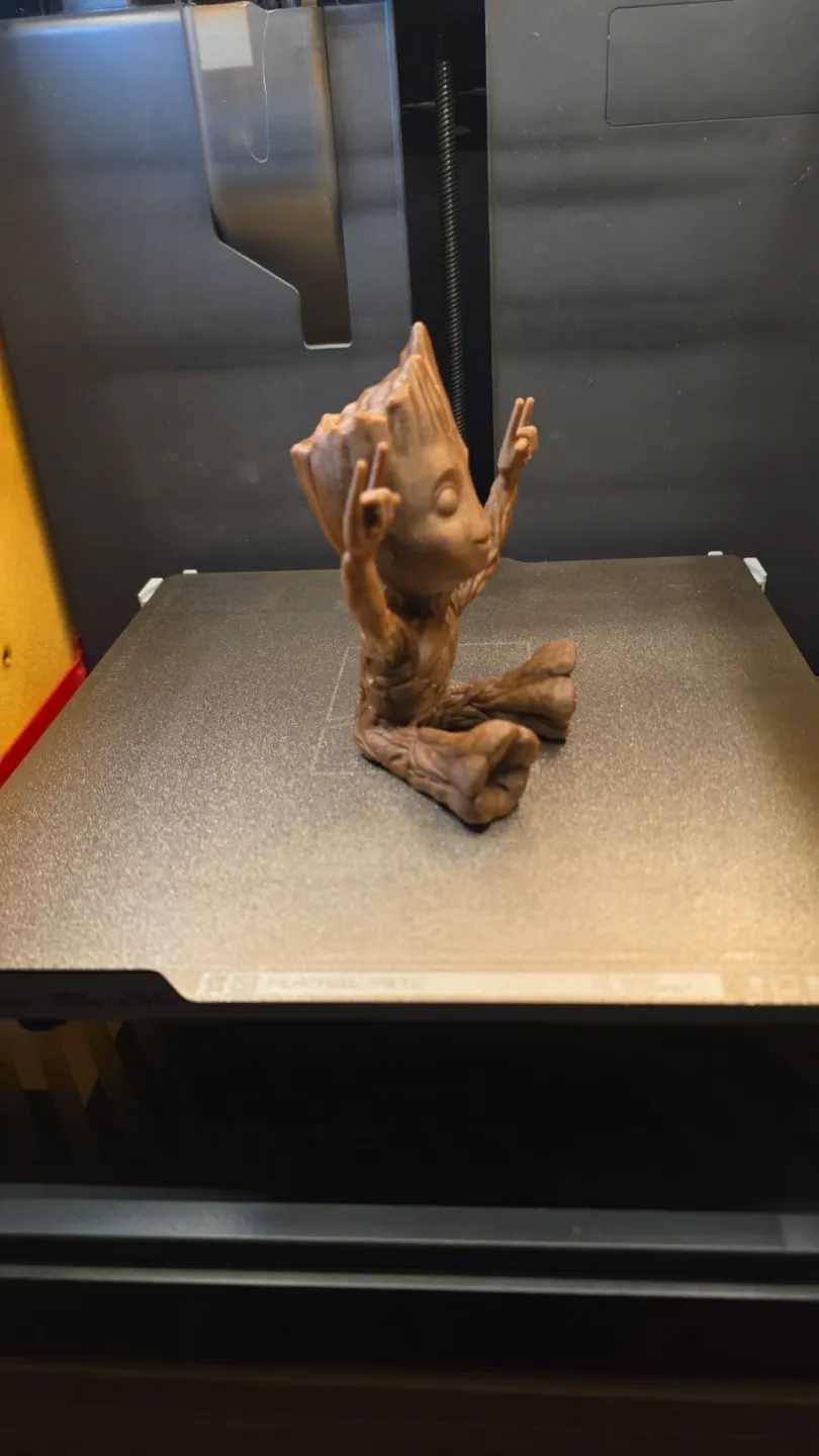 תמונה נוספת